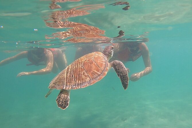 VIP San Juan: Snorkeling Tour with Turtles with Free Videos - Meeting the guide at FW85+JH