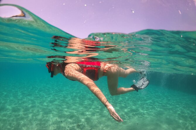 VIP San Juan: Snorkeling Tour with Turtles with Free Videos - The final minutes and free video