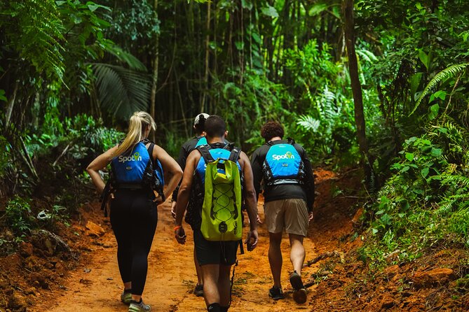 VIP Small Group El Yunque Rainforest Adventure - Why this El Yunque outing feels different