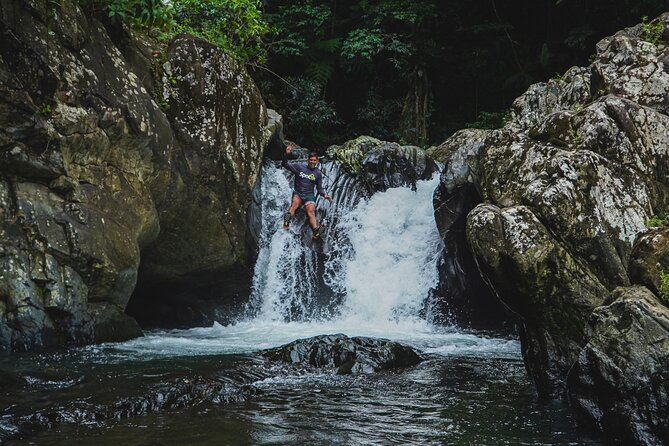 VIP Small Group El Yunque Rainforest Adventure - Waterfalls, pools, and the natural waterslide