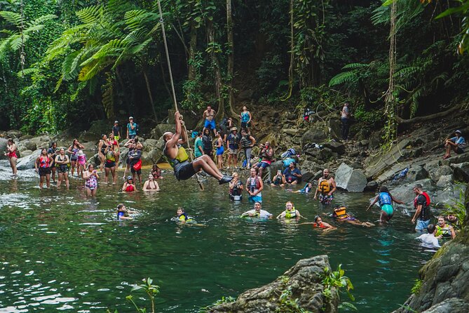 VIP Small Group El Yunque Rainforest Adventure - A 30-minute walk through El Yunque