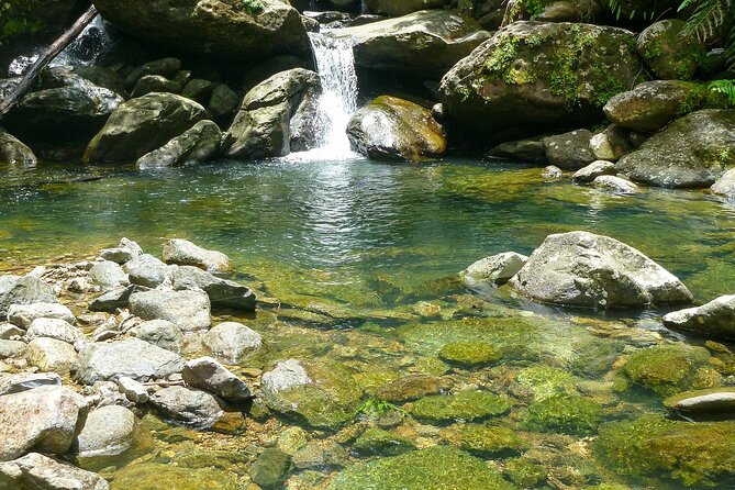 Waterfall Hike in Remote Area of El Yunque Rainforest; San Juan - Natural pools, waterfall spray, and the final swim