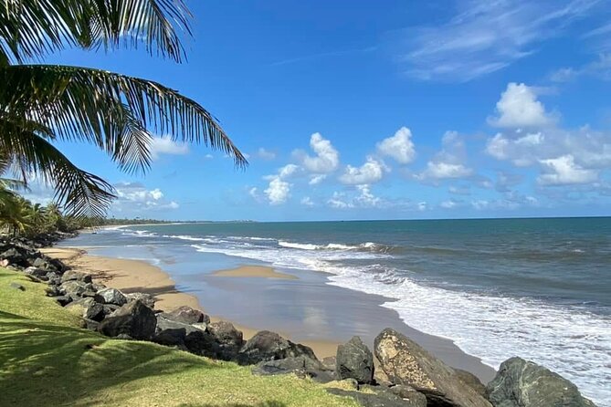 Western Island Full Day Tour - Why this San Juan day trip works