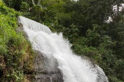 Western Island Full Day Tour