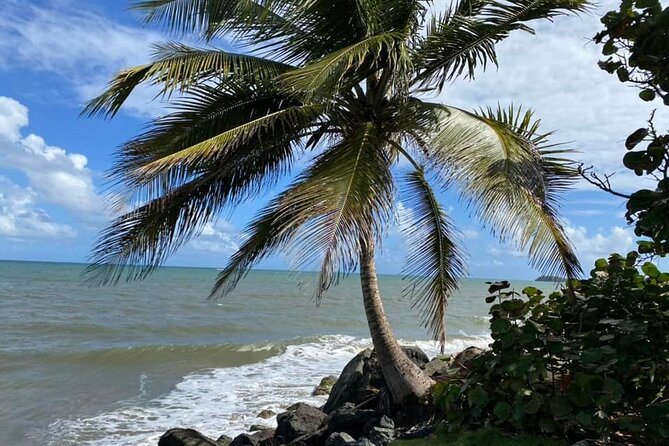 Western Island Full Day Tour - La Poza del Obispo offers protected coastal water