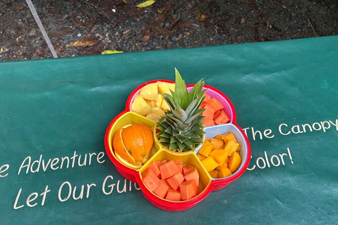 Wild & Scenic Rainforest Nature Walk (Day Time River & Swim) - Why Angelito Trail makes a good first rainforest walk