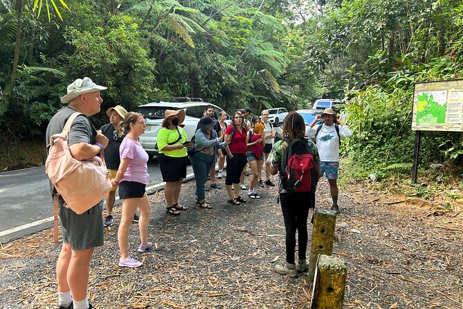 Wild & Scenic Rainforest Nature Walk (Day Time River & Swim) - Las Damas natural pool and the river stop