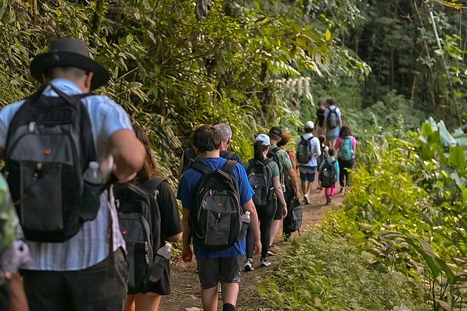 Wild & Scenic Rainforest Nature Walk (Day Time River & Swim) - What is included for the $75 price