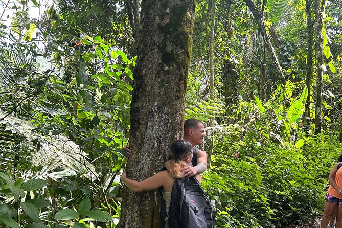 Wild & Scenic Rainforest Nature Walk (Day Time River & Swim) - Clothing, fitness, and family suitability
