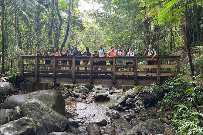 Wild & Scenic Rainforest Nature Walk (Day Time River & Swim) - Who will get the most from this experience