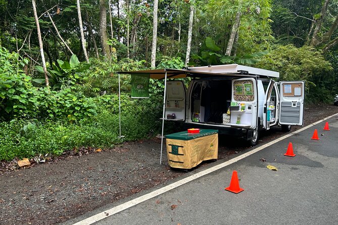 Wild & Scenic Rainforest Nature Walk (Day Time River & Swim) - Reaching the rainforest at 9:30 a.m.