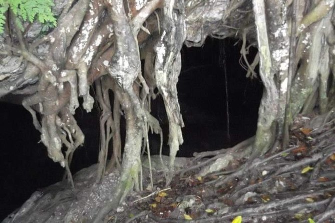 Window Cave Walking Tour from San Juan - Inside Cueva Ventana with a flashlight