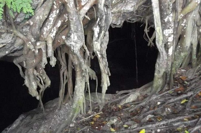 Window Cave Walking Tour from San Juan - The window view over Río Grande de Arecibo