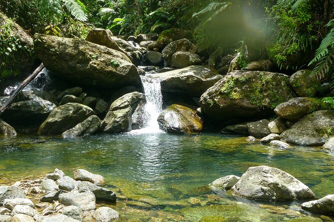 Yunque & Piñones Tour Hike Eat & Adventure with a Local; San Juan - Key points to know before booking