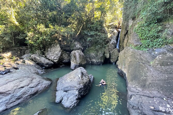 Yunque & Piñones Tour Hike Eat & Adventure with a Local; San Juan - Why this El Yunque trip feels different