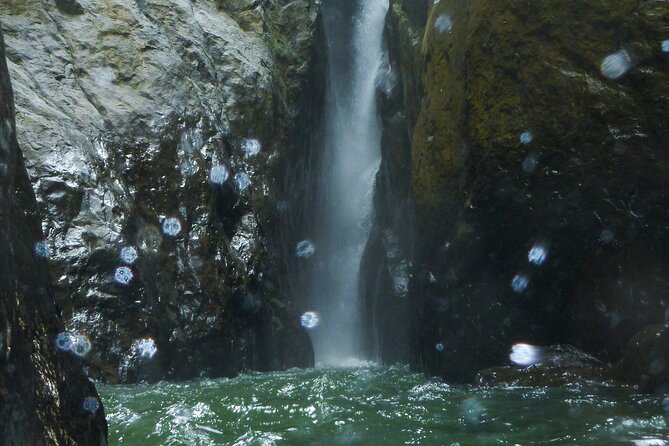 Yunque & Piñones Tour Hike Eat & Adventure with a Local; San Juan - Piñones: beaches, food, and a different side of San Juan
