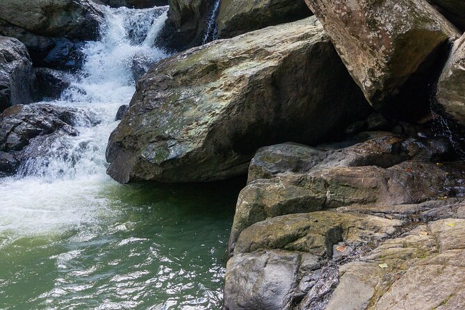 Yunque & Piñones Tour Hike Eat & Adventure with a Local; San Juan - Who will enjoy this most