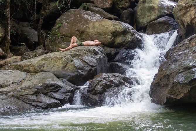 Yunque & Piñones Tour Hike Eat & Adventure with a Local; San Juan - What the guides add to the forest portion