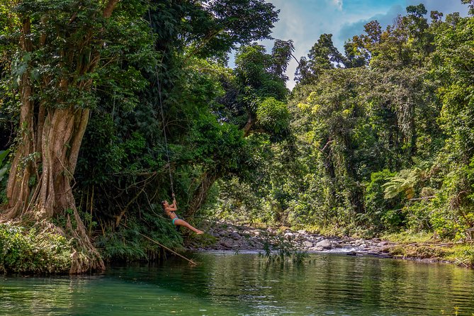 Yunque Rainforest River Rope Swing with Waterslide and Beach Tour - Why This Day Trip Feels Different From a Standard Rainforest Visit