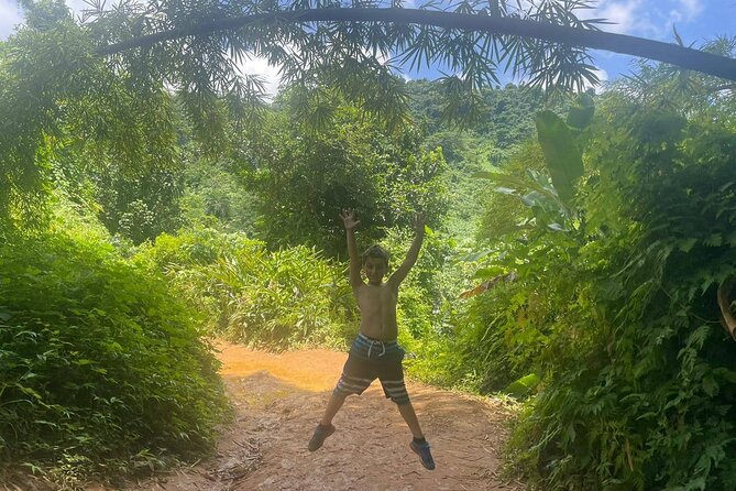 Yunque Rainforest Tour in Puerto Rico - Why the private group format matters
