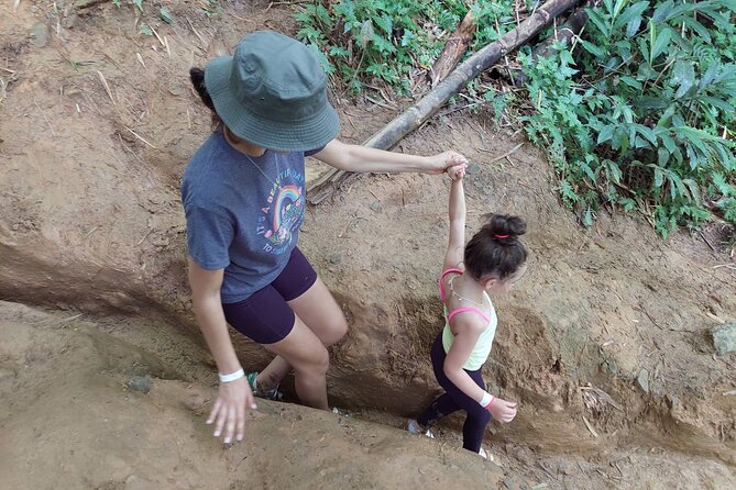 Yunque Rainforest Tour in Puerto Rico - Physical demands and what to bring
