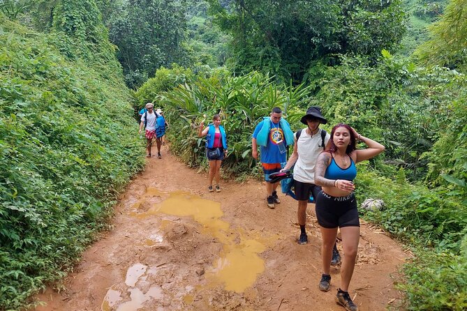 Yunque Rainforest Tour in Puerto Rico - Is $69 a good value?