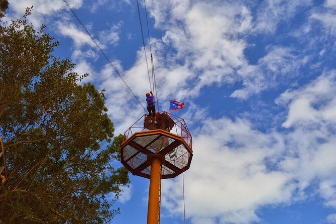 Zipline Canopy Tour with Transport from San Juan - Lines Seven and Eight Bring the Big Views