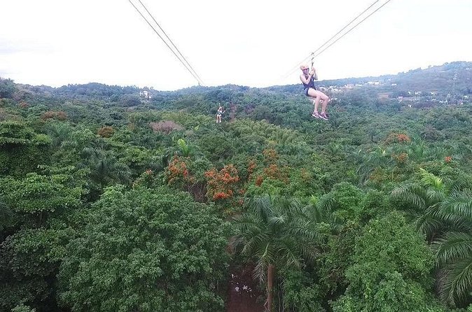Zipline Canopy Tour with Transport from San Juan - Who Will Enjoy This Course Most?