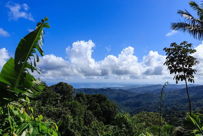 Zipline Canopy Tour with Transport from San Juan - Should You Book the San Juan Zipline?
