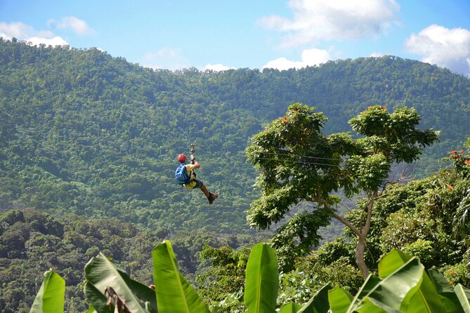 Ziplining at the Rainforest in Puerto Rico - Key points at a glance