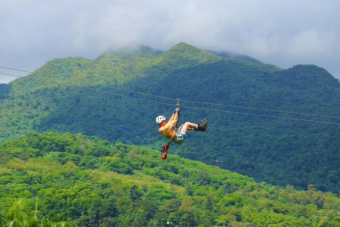 Ziplining at the Rainforest in Puerto Rico - Luquillo puts the rainforest within easy reach