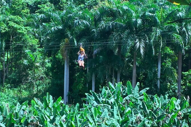 Ziplining at the Rainforest in Puerto Rico - The guides make the difference