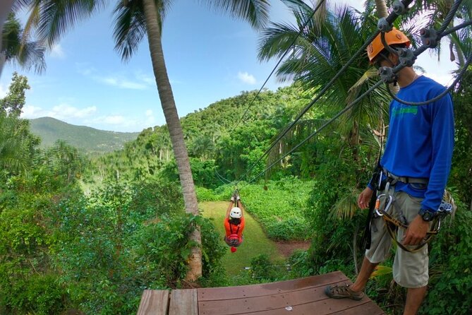 Ziplining at the Rainforest in Puerto Rico - Choosing between the 8:30 a.m. and 1:30 p.m. sessions