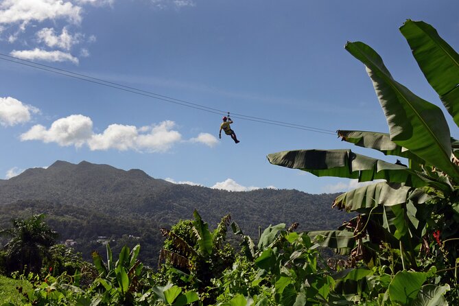 Ziplining at the Rainforest in Puerto Rico - A canopy bridge, rappel, and rainforest walk